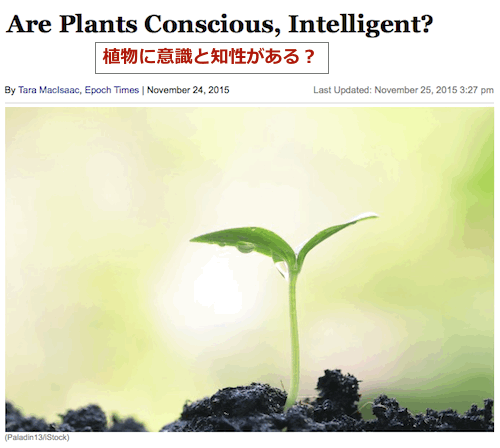 plant-conscious-top