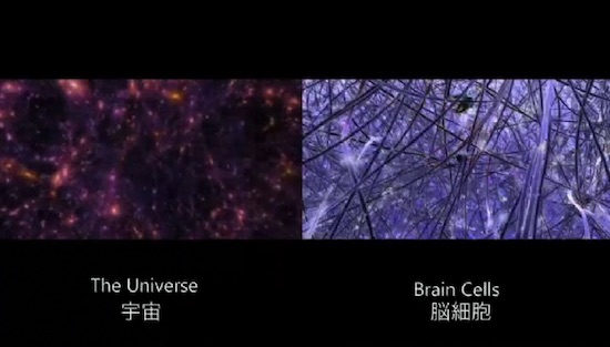 universe-brain-cell