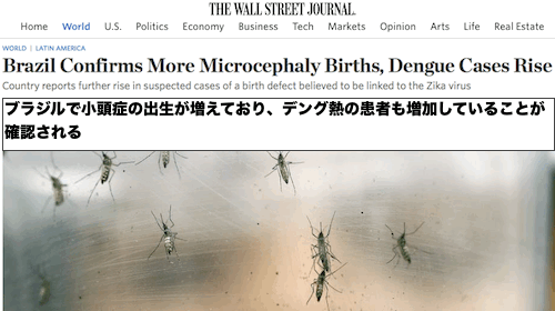 brazil-dengue-2016
