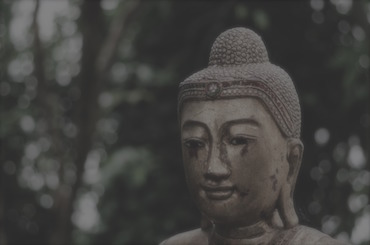 buddha-2016