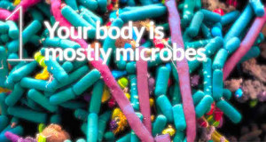 microbiome-pic