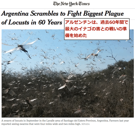 plague-locusts-argentina-2016-top