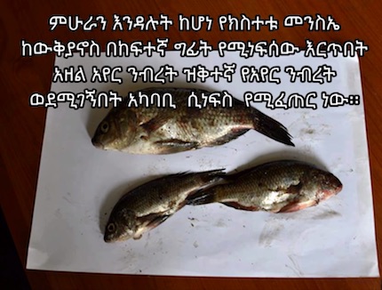 ethiopia-fallen-fish