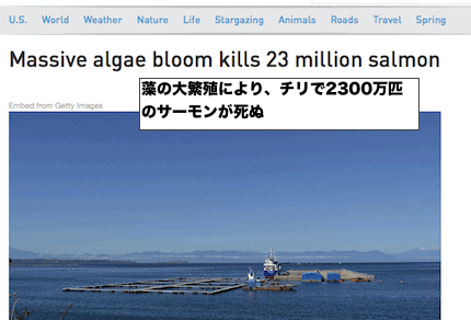 algae-salmon-deaths