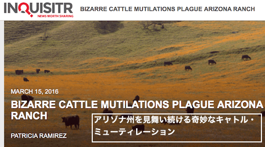 arizona-cattle-mutilations
