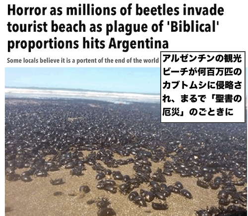 beetles-invade