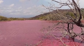 mexico-red-lake