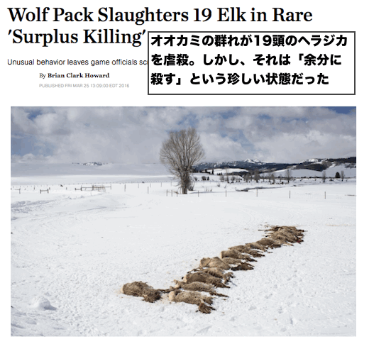 elk-slaughter-wyoming