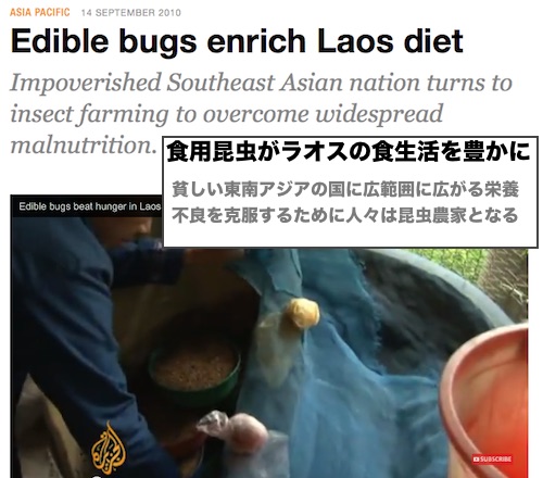 laos-bugs