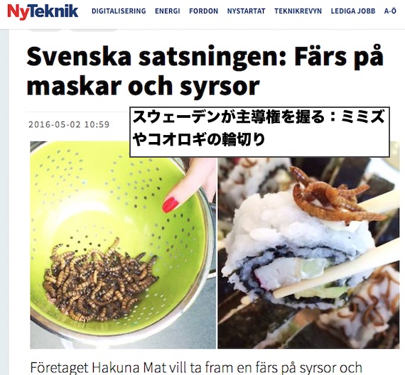 sweden-eat-insect