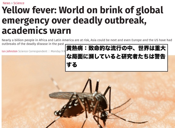 yellow-fever-world-on-brink-of-global-emergency