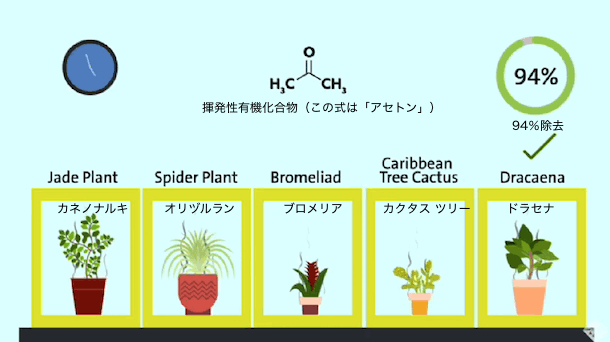 vocs-vs-plant