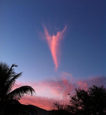 angel-cloud-2013