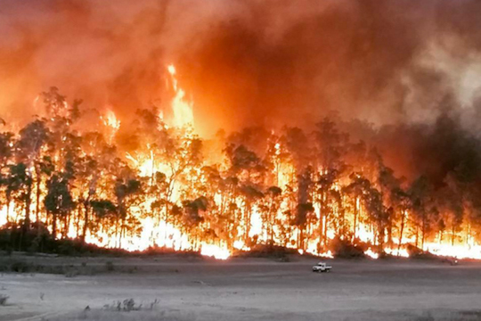 bushfire-australia