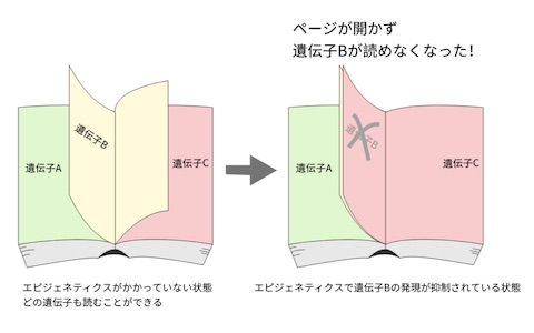 https://indeep.jp/wp-content/uploads/2023/07/epi-book-02.jpg